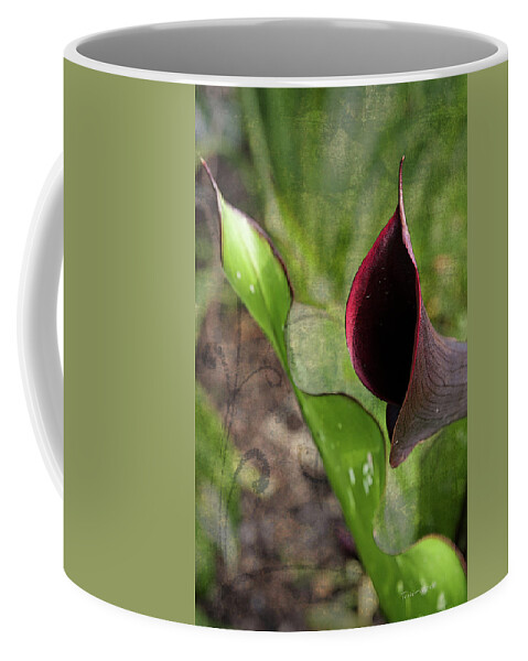 Calla Coffee Mug featuring the photograph Poetry In Motion by Terri Harper