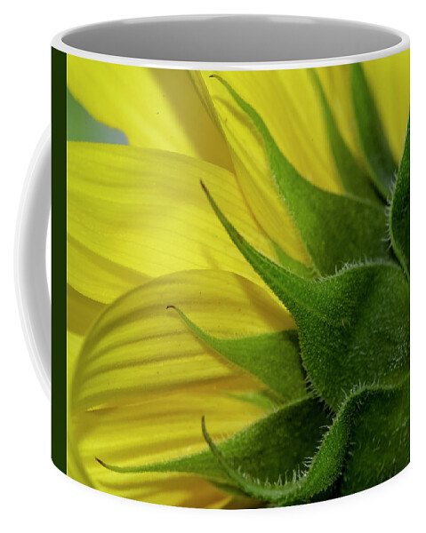Yellow Coffee Mug featuring the photograph Pointed by Cathy Kovarik