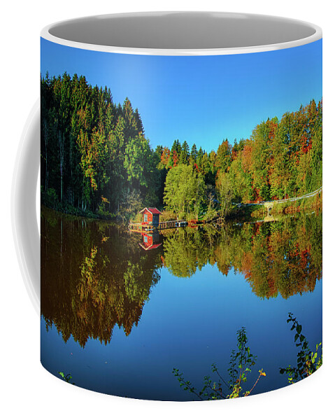Germany Coffee Mug featuring the photograph Pond Reflections by Raf Winterpacht