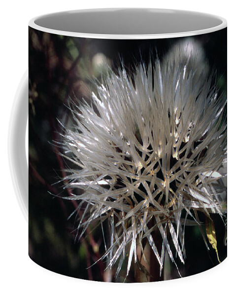  Coffee Mug featuring the photograph Poof by Randy Oberg