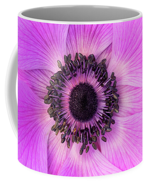Flowers Coffee Mug featuring the photograph Poppy Anemone by Patty Colabuono