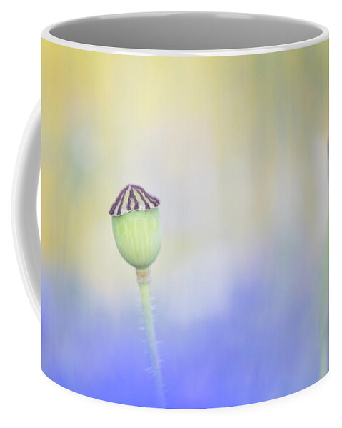 Flower Coffee Mug featuring the photograph Poppy seed head in a sea of blue by Anita Nicholson