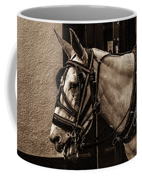 Photo Coffee Mug featuring the photograph Portrait of a horse by Jason Hughes