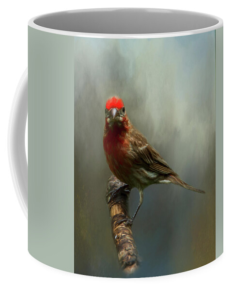Avian Coffee Mug featuring the photograph Portrait of a House Finch by Cathy Kovarik