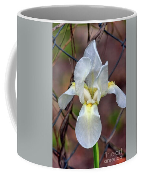 Flower Coffee Mug featuring the photograph Portrait of an Iris by Joan Bertucci