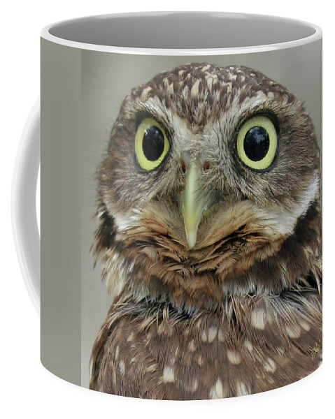 Bird Coffee Mug featuring the photograph Portrait Of Burrowing Owl by Ben and Raisa Gertsberg
