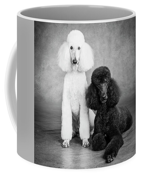 Photography Coffee Mug featuring the photograph Portrait Of Standard Poodle Dogs by Panoramic Images