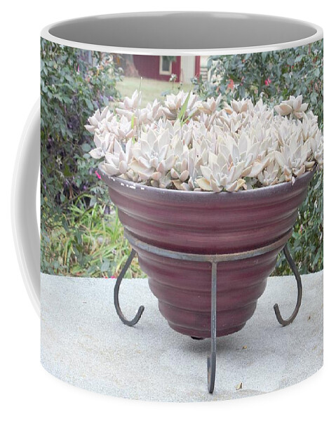 Plant Coffee Mug featuring the photograph Potted Perfection by Ali Baucom