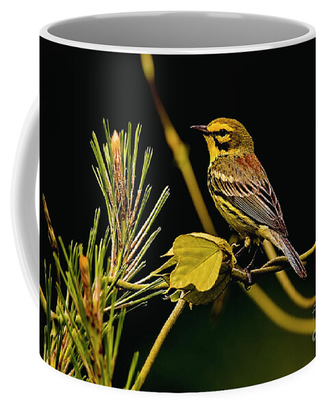 Bird Coffee Mug featuring the photograph Prairie Warbler by Geraldine DeBoer