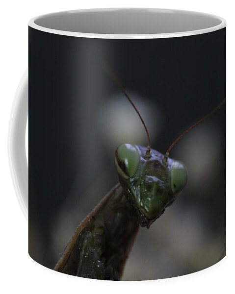 Mantis Coffee Mug featuring the photograph Praying mantis by Martin Smith