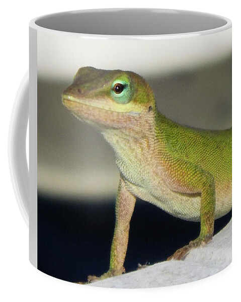 Animals Coffee Mug featuring the photograph Pretty Peepers by Karen Stansberry