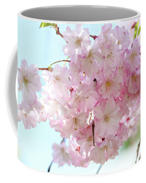 Flowers Coffee Mug featuring the photograph Pretty Pink Blossoms by Trina Ansel