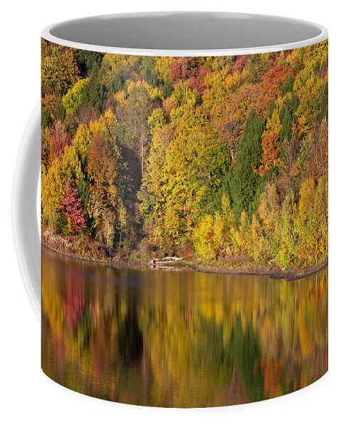 Allegheny Plateau Coffee Mug featuring the photograph Prompton Lake by Michael Gadomski