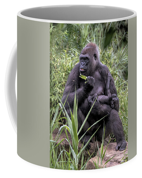Mammals Coffee Mug featuring the photograph Proud Mama Silverback 6243 by Donald Brown