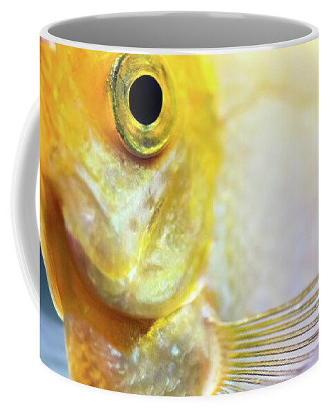 Pterophyllum Scalare yellow angel fish head macro selective focus Coffee  Mug by Gregory DUBUS - Pixels Merch