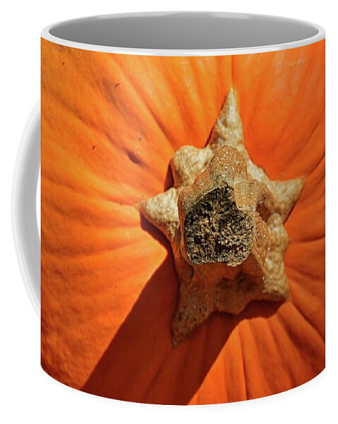 Pumpkin 2 Coffee Mug featuring the photograph Pumpkin 2 by Lisa Wooten