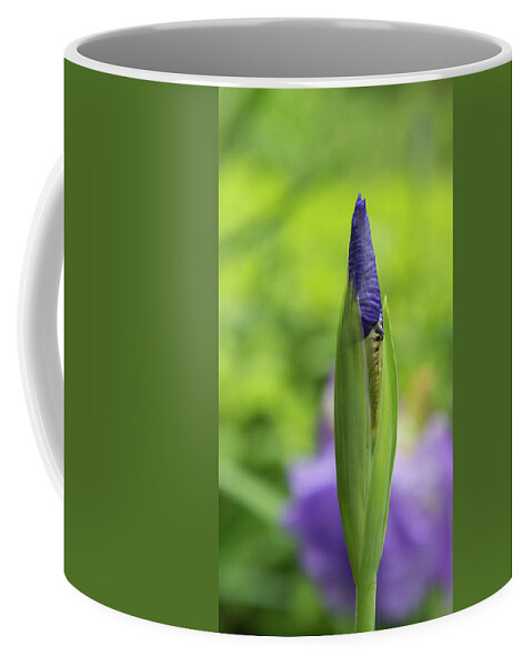 New Life Coffee Mug featuring the photograph Purple Beginnings by Liz Albro