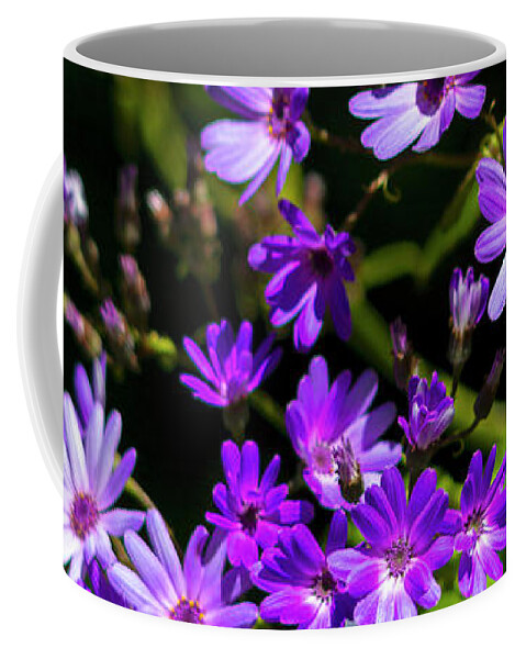 Purple Daisies In Spring Coffee Mug featuring the photograph Purple Daisies in Spring by Bonnie Follett
