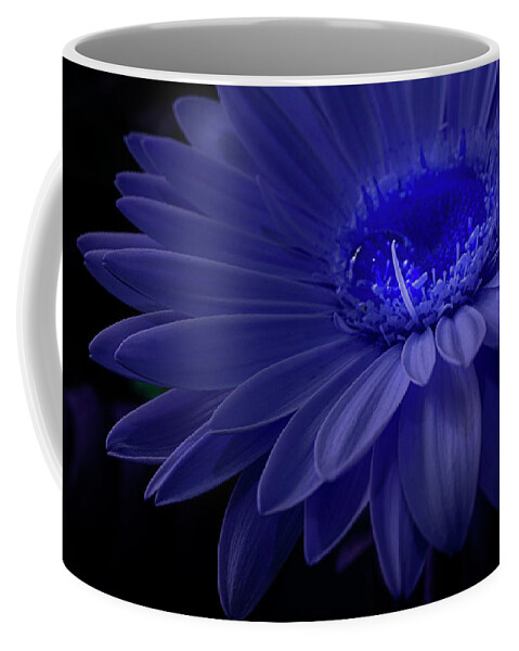 Flower Coffee Mug featuring the photograph Purple Gerbera by Lily Malor