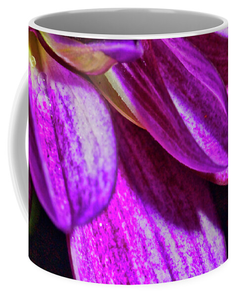 Macro Photography Coffee Mug featuring the photograph Purple Petals by Meta Gatschenberger