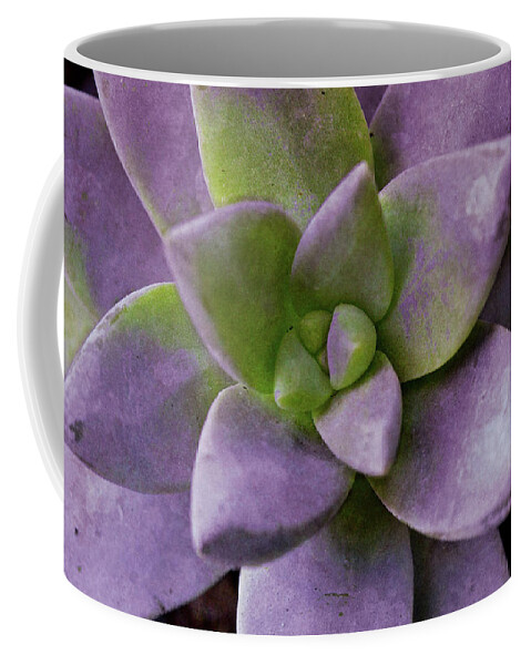 Purple Coffee Mug featuring the photograph Purple Succulent I by Susan Bryant