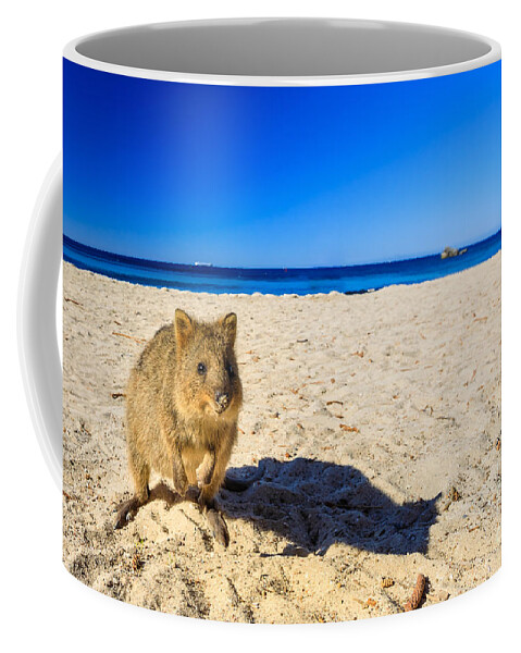 Quokka Coffee Mug featuring the photograph Quokka on the beach by Benny Marty