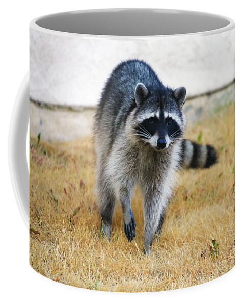 Racoon Coffee Mug featuring the photograph Racoon by Anthony Jones