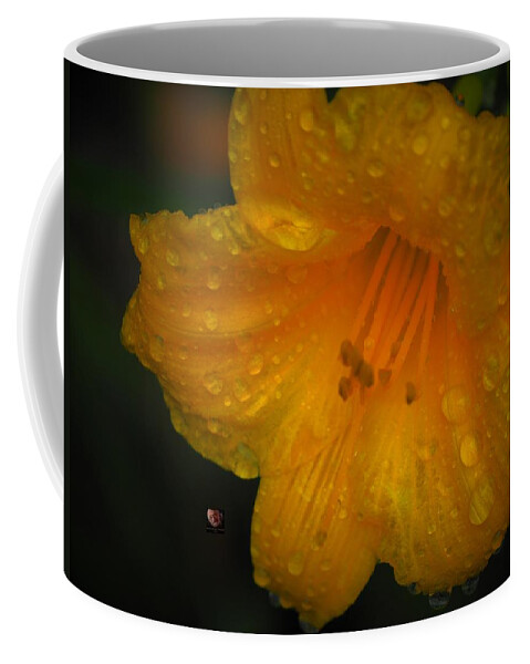 Botanical Coffee Mug featuring the photograph Rain and Day Lily by Richard Thomas