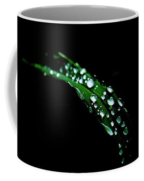 Leaf Coffee Mug featuring the photograph Rain On A Green Leaf In Black by Alida M Haslett