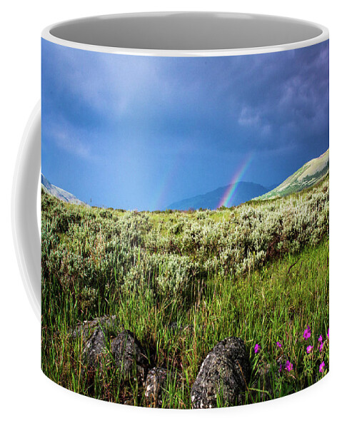 Storm Coffee Mug featuring the photograph Rainbow over Tom Miner Basin by Douglas Wielfaert