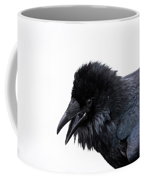 Raven Coffee Mug featuring the photograph Raven 3 by David Kirby