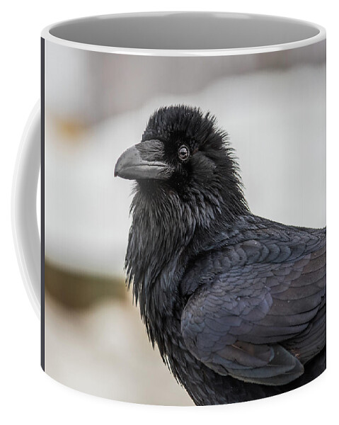 Raven Coffee Mug featuring the photograph Raven 4 by David Kirby