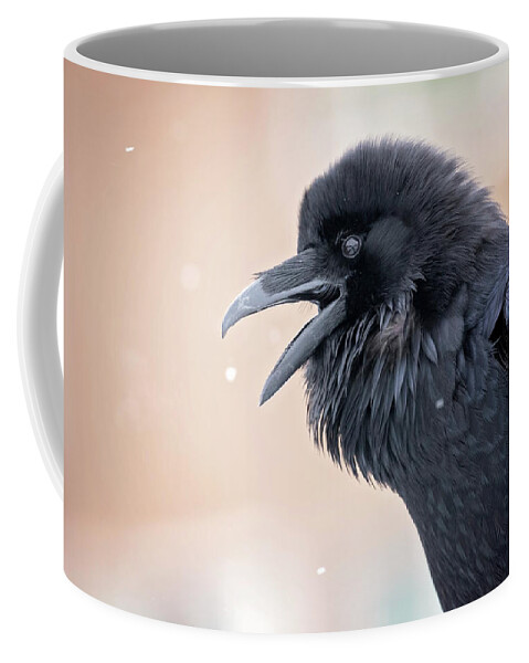 Raven Coffee Mug featuring the photograph Raven Talk by Eilish Palmer