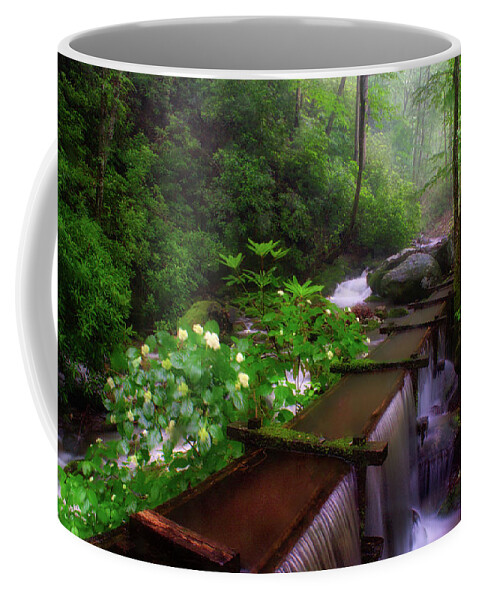 Roaring Fork Coffee Mug featuring the photograph Reagans Mill by Nunweiler Photography