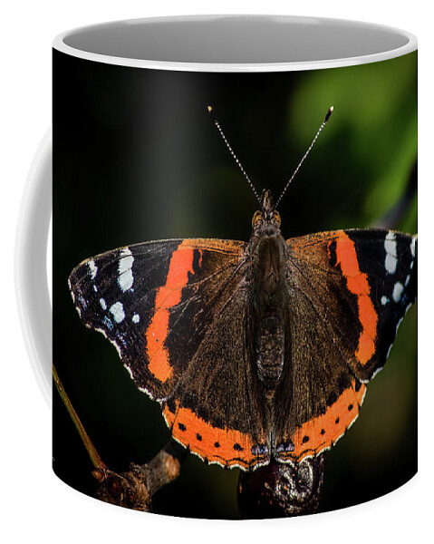 Red Admiral Butterfly Coffee Mug featuring the photograph Red Admiral Butterfly in the cherry tree by Torbjorn Swenelius