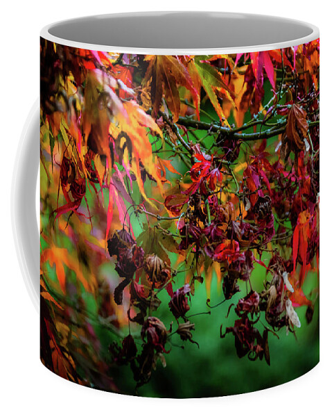 Tree Coffee Mug featuring the photograph Red and Golden - 1 by Christopher Maxum
