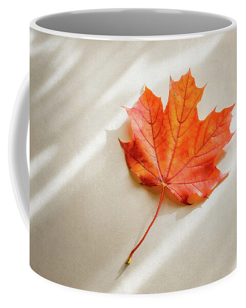 Maple Leaf Coffee Mug featuring the photograph Red and Orange Maple Leaf by Scott Norris