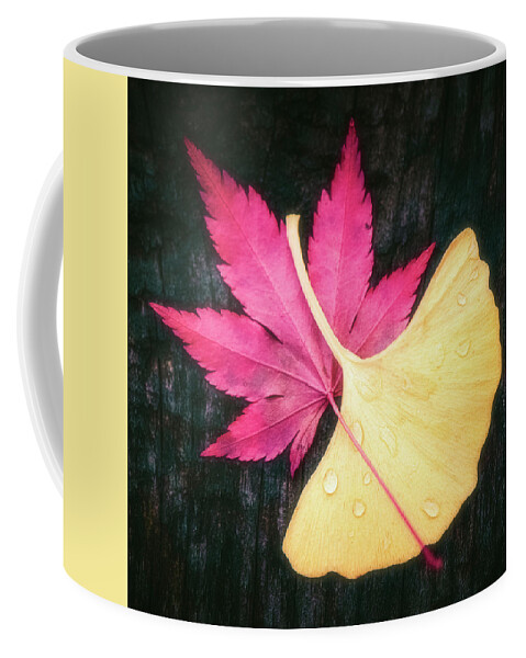 Autumn Coffee Mug featuring the photograph Red and Yellow by Philippe Sainte-Laudy