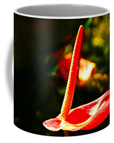 Laceleaf Coffee Mug featuring the photograph Red Anthurium Solo by Loretta S