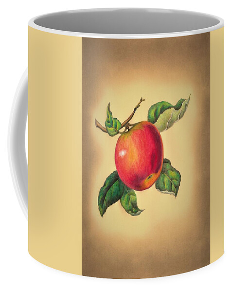 Apple Coffee Mug featuring the drawing Red apple by Tara Krishna