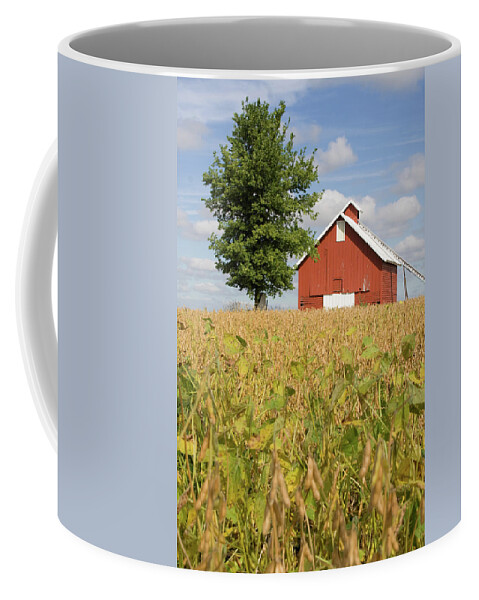Red Crib September Coffee Mug featuring the photograph Red Crib September by Dylan Punke