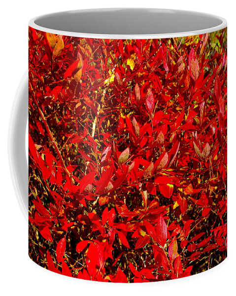Red Daze Coffee Mug featuring the photograph Red Daze by Barbra Telfer