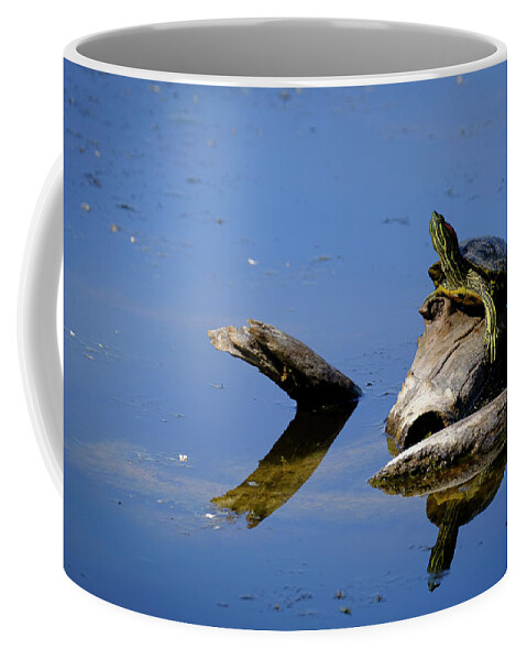 Albuquerque Coffee Mug featuring the photograph Red Eared Slider Basking in the Sun by Mary Lee Dereske