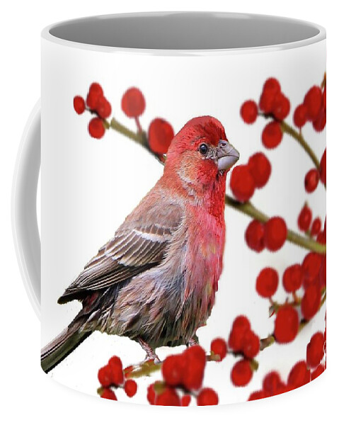 Red Finch Coffee Mug featuring the photograph Red Finch on Red Berries by Janette Boyd