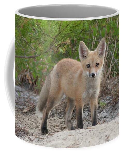 Fox Coffee Mug featuring the photograph Red Fox Kit #2 by Paul Rebmann