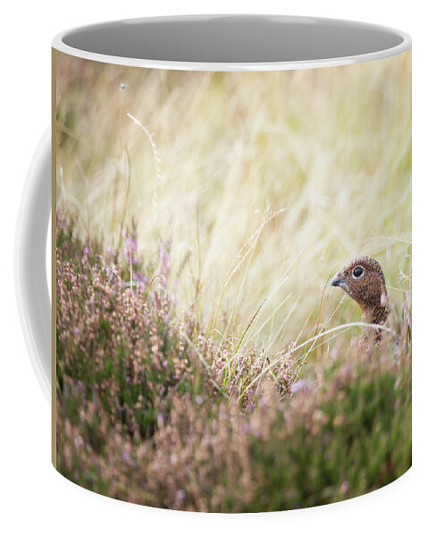 Female Red Grouse Coffee Mug featuring the photograph Red Grouse by Anita Nicholson