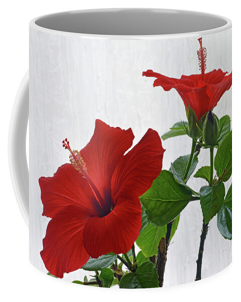 Hibiscus Coffee Mug featuring the photograph Red Hibiscus Duo by Terence Davis