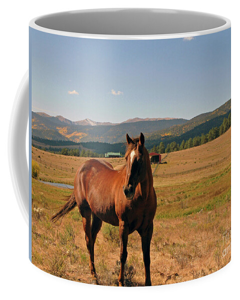 Horse Coffee Mug featuring the photograph Red River Horse by Nieves Nitta