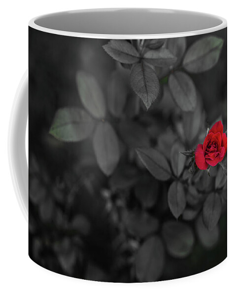 Rose Coffee Mug featuring the photograph Red Rose by Mike Whalen