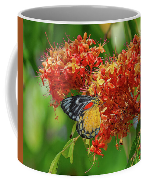Nature Coffee Mug featuring the photograph Red-spot Jezebel Butterfly DTHN0235 by Gerry Gantt